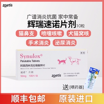 Suono cat nasal branch treatment cat cold medicine Suono tablets cat anti-inflammatory tablets pet cat nose amoxicillin 10