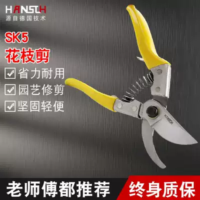 Hans flower scissors to repair branches, fruit trees, scissors, horticultural shears, rough branches, tree shears, garden workers