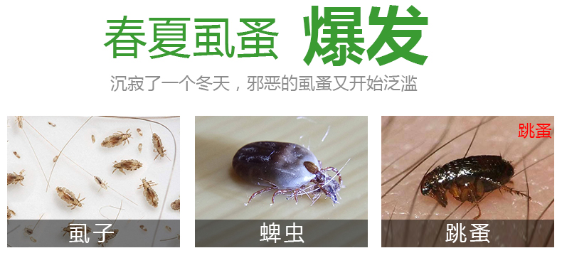 Chó cưng ngoài gia đình diệt bọ chét 立 清 去 虱子 药 蜱 猫猫 - Thuốc diệt côn trùng 	bình xịt muỗi xịn