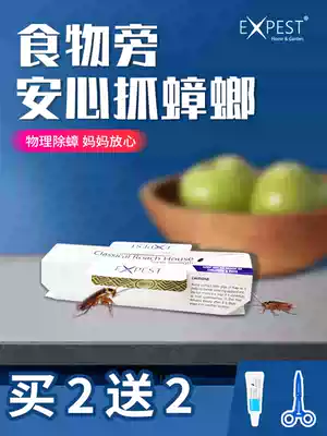 Cockroach House artifact kitchen cockroach paste board EXPEST to kill cockroach home cockroach bug artifact