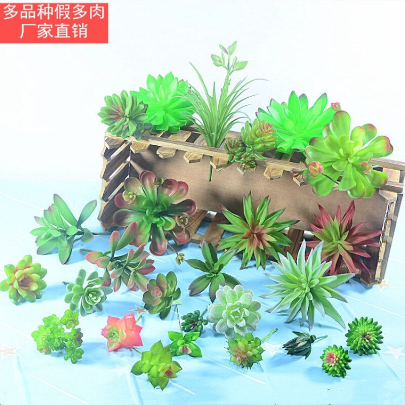 Simulation Multi Meat Mini Fake Multi Meat Green Planting Wall Accessories Make Fake Potted Plant Accessories Micro Landscape Pendulum Nordic Style