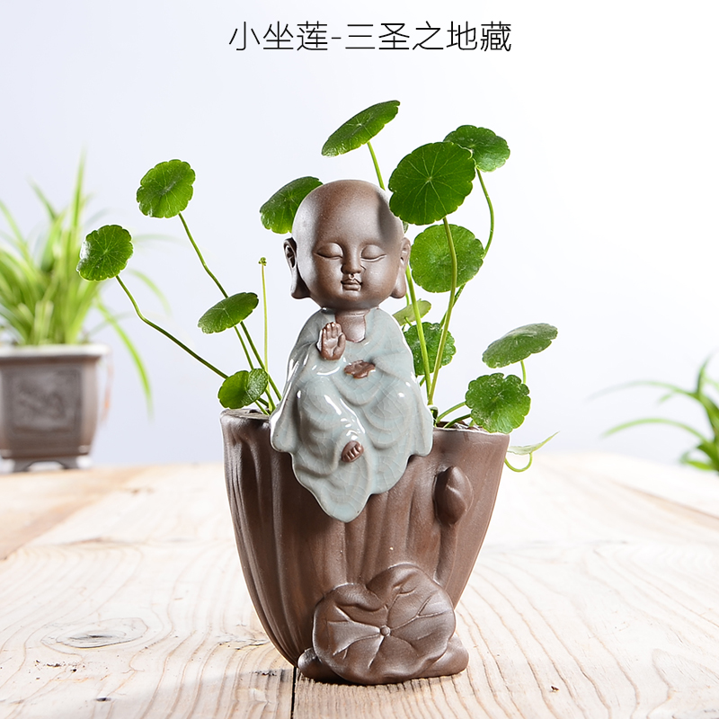Coppergrass Lysimachia Lysimachia hydroponic flowerpot Golden kudzu flowerpot creative tea pet flowerpot ornaments tea pet Ge kiln ceramic flowerpot