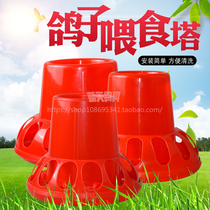 Pigeon supplies pigeon feeder food box automatic discharger food tray anti-splashing and Pigeon Pigeon trough