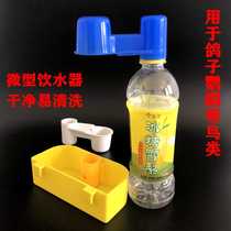 Bird double-mouth water guide micro-water drinker pigeon racing pigeon Parrot bird drinking water fountain meat pigeon cage accessories