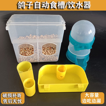 Pigeon supplies equipment meat pigeon feeder feeder pigeon anti-sprinkling trough automatic leakage trough pigeon drinker