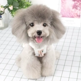 Осенний летний тонкий топ с чашечками, платье без рукавов, юбка