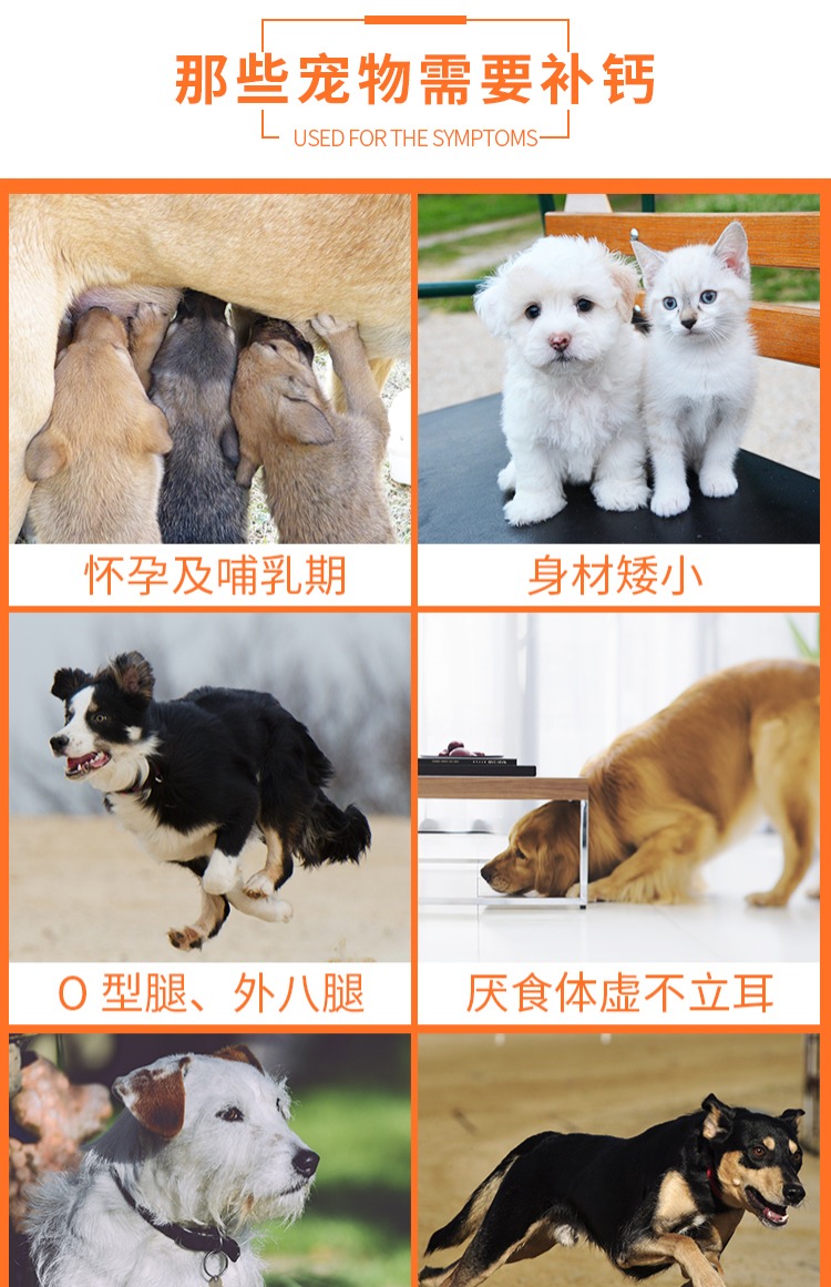 RedDog Red Dog Canxi Canxi King Pet Cat Bone Canxi Canxi Bột Canxi Mèo và Chó Sản phẩm sức khỏe tổng quát sữa cho mèo mới đẻ
