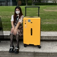 Желтый чемодан, амортизирующий тормоз