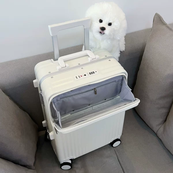 Товары от 卡伦特箱包店