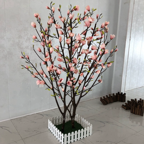 Моделирование магнолия дерево земля земля цветочные окна