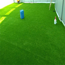 Courtyard Golf Artificial Lawn On-site Laying Greenery Simulation Grass Background Wall Photo Artificial Lawn Fake Lawn