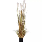 Моделирование тростниковой трава, собачья хвостовая трава, трава, травяная горшка, сушеные цветы, пувей, внутренняя сеть красного декоративного украшения