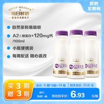 Daily Fresh Words Excellent Care A2β-Casein Fresh Milk 250ml*3 Bottles Fresh Milk Regular Purchase Sharing Pack Pasteurized