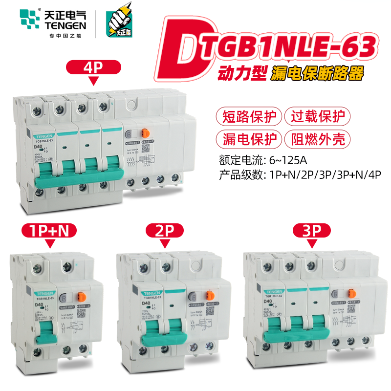 Tianzheng small leakage protection circuit breaker TGB1NLE-63 leakage protection D-type power type 1P N 2P 3P N 4P