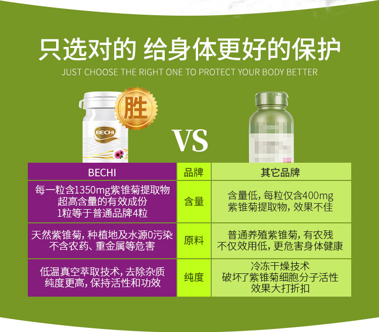 Purple Chrysanthemum details_08.jpg