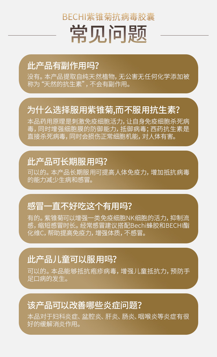 Purple Chrysanthemum details_14.jpg