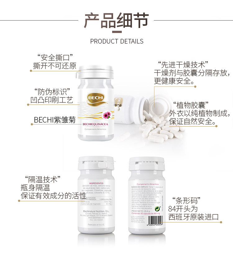 Purple Chrysanthemum details_12.jpg