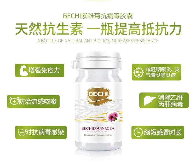 Purple Chrysanthemum details_09.jpg