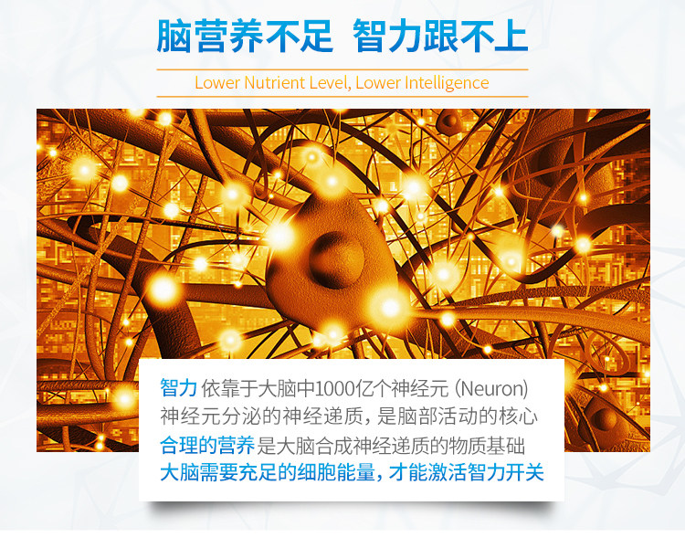 Эссенция памяти-750_03.jpg