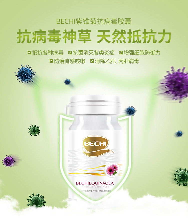 Purple Chrysanthemum details_01.jpg