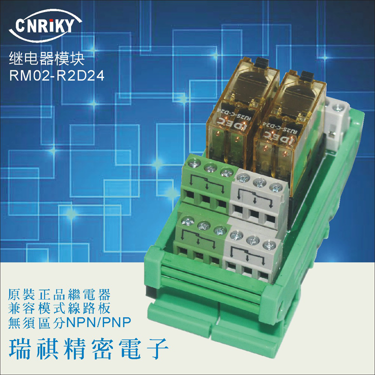 (2 sets of output) RM02-R2D242 output PLC output relay module contact point 2Z 5A
