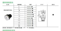 Shanghai Tianyi 22 with light button LA42(A)Y2B reset jog button start LED