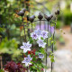 Retro ທາດເຫຼັກ clematis rose plant grid climbing pergola balcony flower stand screen bird flower insert bracket