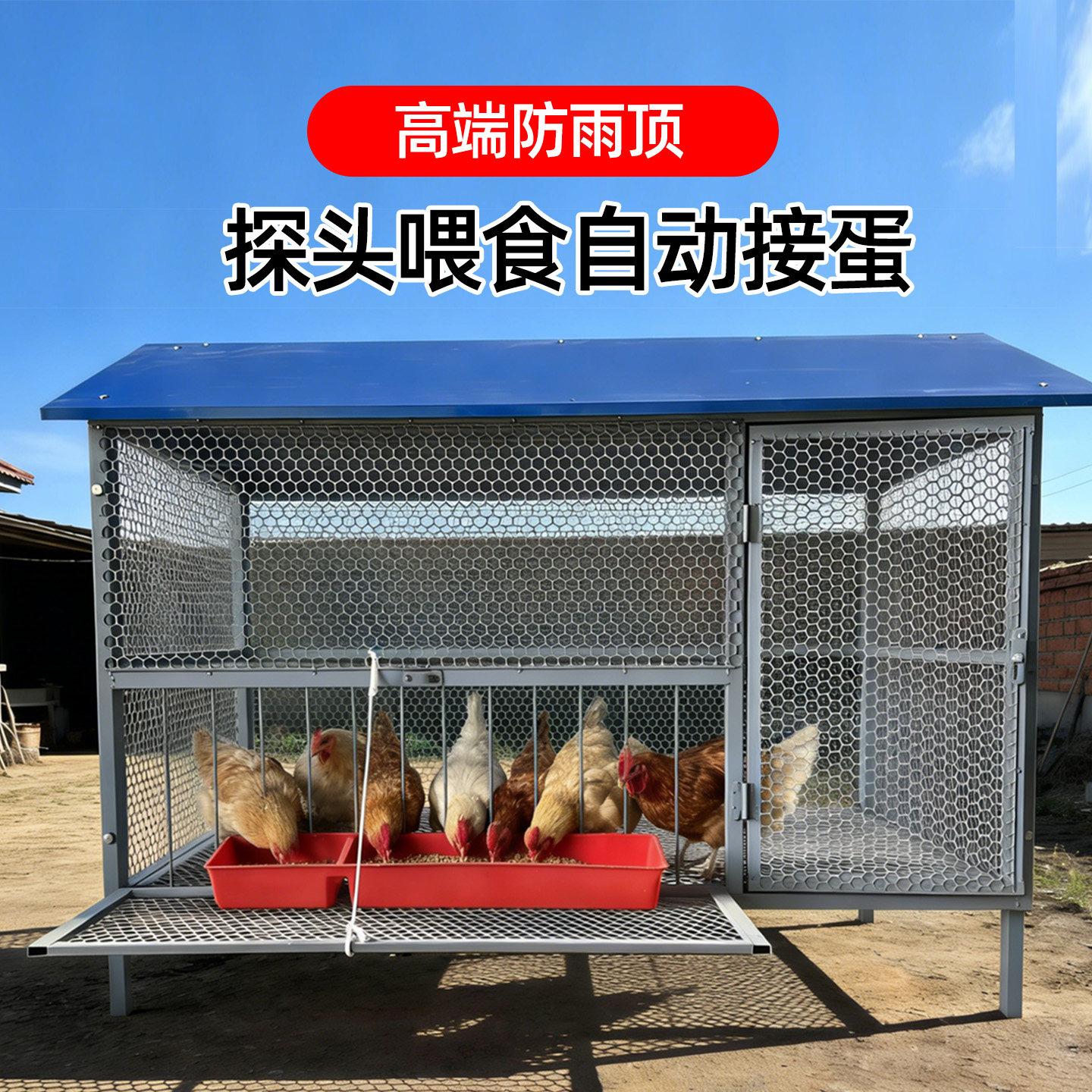 室外大号防逃鸡笼，养鸡新手必备神器 🐓🏡-宠物鸡-淘宝好物网