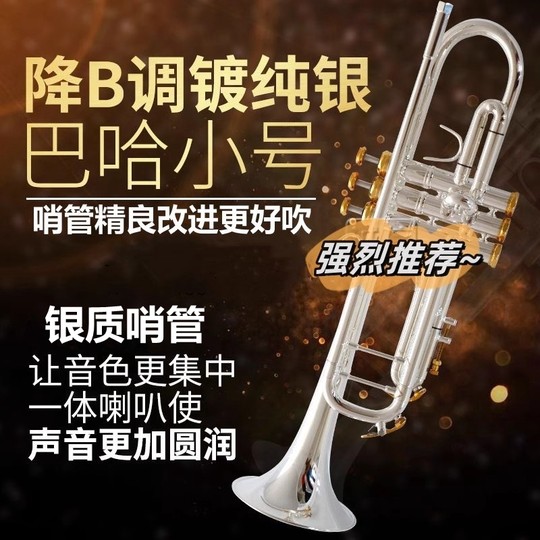 Bach Commemorative Edition Professional Performance-Grade Silver-Plated Bach Trumpet Instrument 190S43W2 B Flat Imported Tube Body