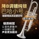 Bach Commemorative Edition Professional Performance-Grade Silver-Plated Bach Trumpet Instrument 190S43W2 B Flat Imported Tube Body