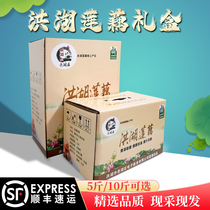 Gift box Honghu lotus root fresh powder glutinous old Yujia is now digging Hubei specialty nine-hole red powder lotus root 5 catties 10 catties SF