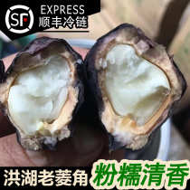 SF Honghu old water chestnut powder glutinous water chestnut big green water chestnut Hubei farm specialty wild fresh freshly picked 4 catties