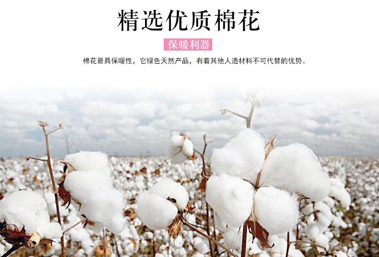 Débardeur hiver femme en Coton - Ref 3178582 Image 11