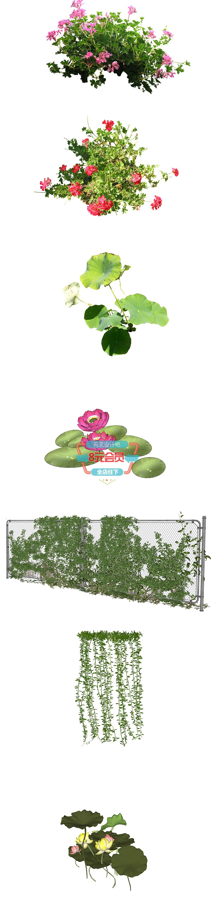 T1463自然植物景观花草树木园林素材 SU草图大师模型sketchup...-3