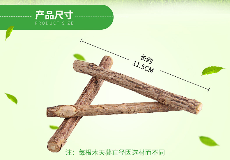 Gỗ Scorpio Rod Mèo Đồ ăn nhẹ Mèo Cung cấp Mèo Mèo Molar Gậy Răng Cắn Mèo Bạc hà Mèo Cắn Cắn Con Chó Nhỏ - Đồ ăn nhẹ cho mèo thức an cho mèo giá rẻ