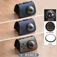 Прозрачный пространство прозрачный конструкция окон кошка - случайная модель (с дышащим отверстием)