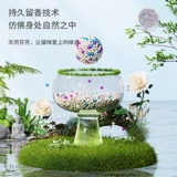 Лимонный наполнитель для кошачьего туалета, бесплатная доставка, 10 кг, дезодорирующий комкующийся наполнитель для кошачьего туалета, бентонитовый наполнитель для кошачьего туалета с низкой пылью, 20 кг, 10 кг, товары для кошек