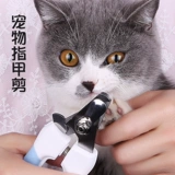 Кошачья ногтевая собака домашнее животное кошачье кошачье нож для ножа для ножом галстук кошачий кошка нож для ножа кошачья лапа измельчающая броня