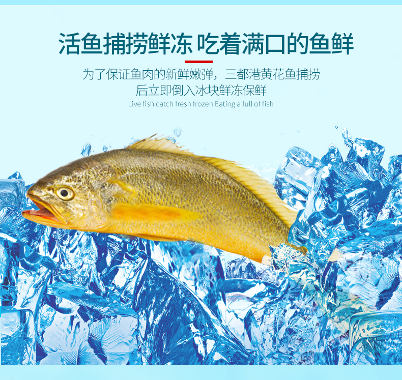 中国地理标志保护 三都港 黄花鱼 小黄鱼 155g*5条 图4