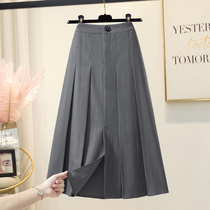 Gray tb pleated skirt skirt skirt womens summer A- line dress high waist split umbrella skirt suit long crotch skirt