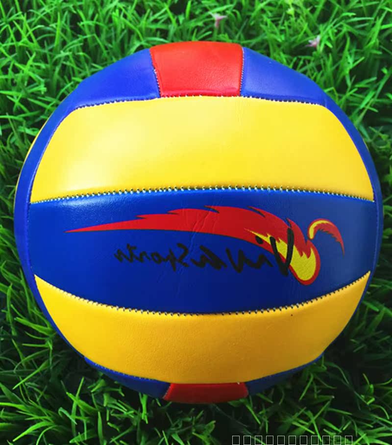 Ballon de volley-ball - Ref 2012050 Image 11