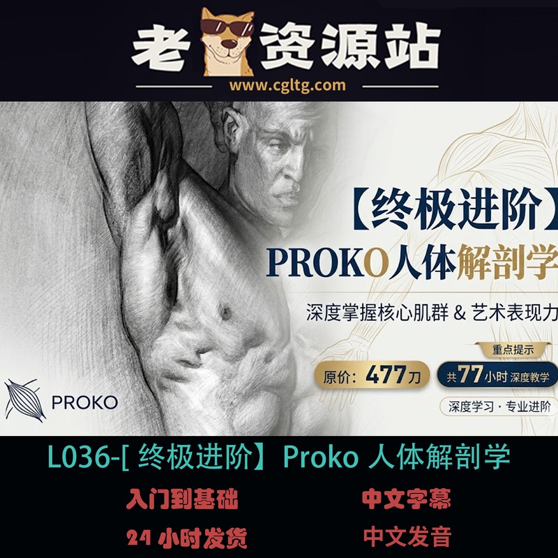 L036-[Ultimate Advanced Course] Proko Human Anatomy