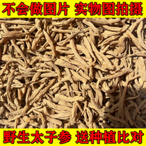 Wild Pseudostellariae Radix Pseudostellariae Soupe pour enfants Rate et estomac Phytothérapie chinoise Naturel de qualité spéciale sauvage Peut être transformé en paquets de soupe Ginseng authentique pour enfants