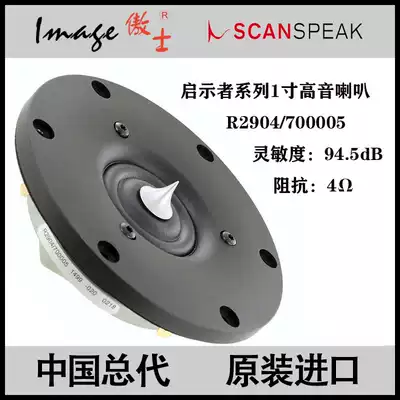 Scanspeak Denmark dmsamsbo R2904 700005 7000 1 inch 104mm import tweeter