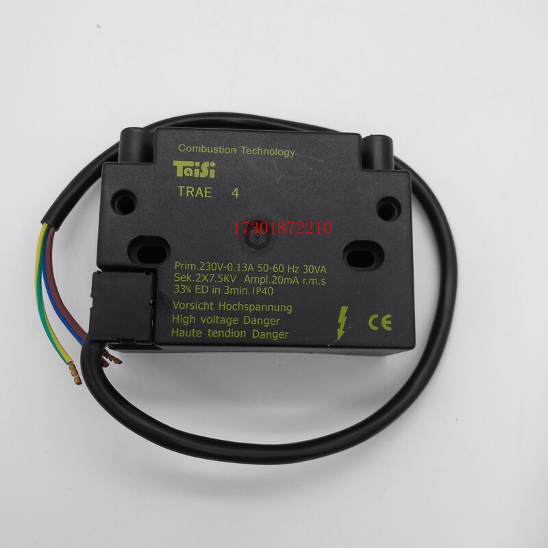 TAISI Tathdanfoss type ignition transformer EBI EBI 1P EBI4 1P unipolar 15KV bipolar