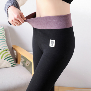 【高端精品】纯棉高腰小猫打底裤