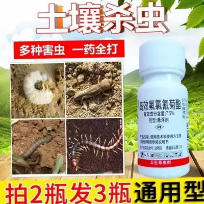 Buddha belly bamboo High efficiency flower soil Orange potted garden bonsai soil insect vegetable insecticide Pest control Insect egg deworming