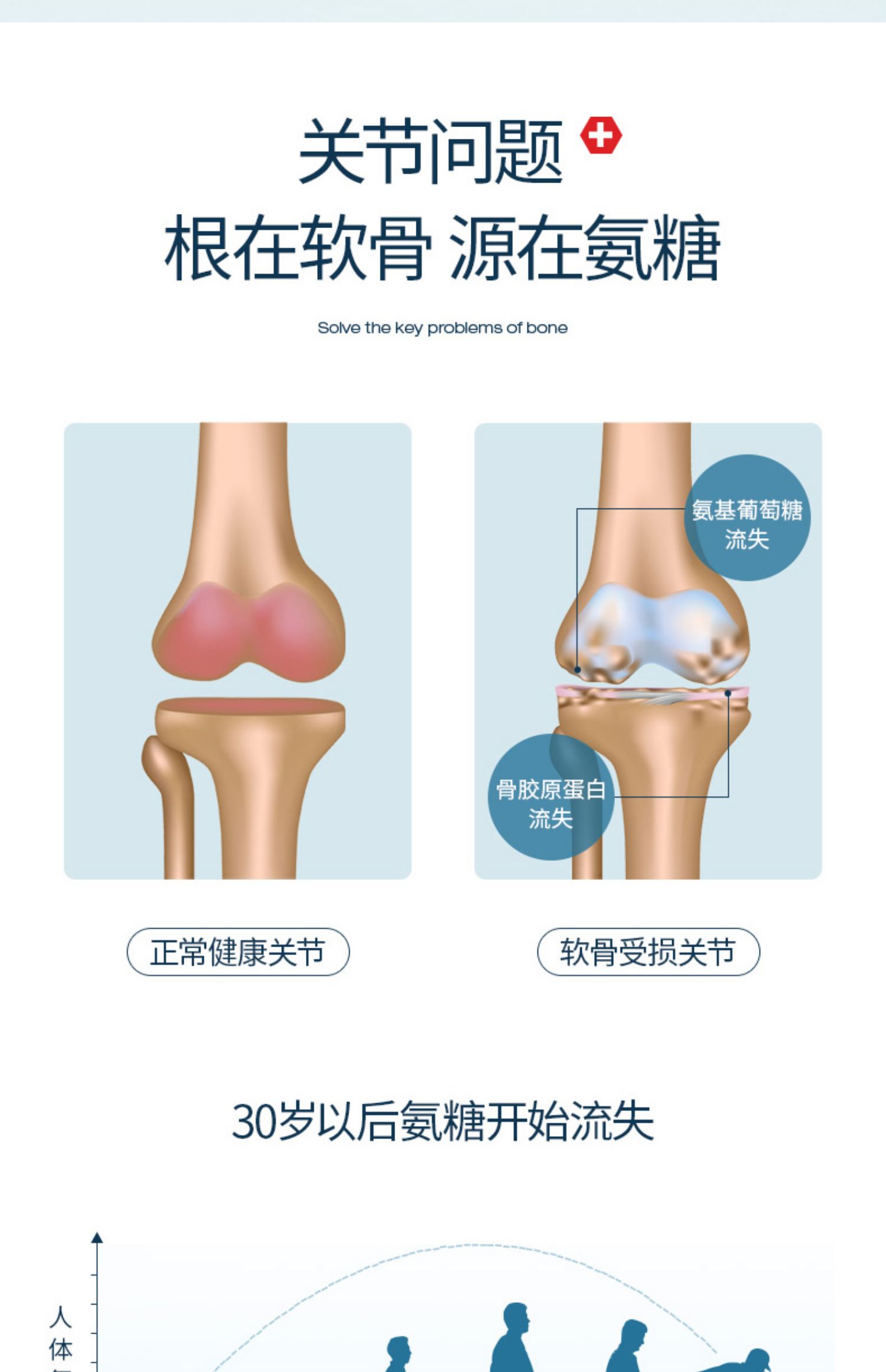 三橡树关节修复维骨力运动氨糖