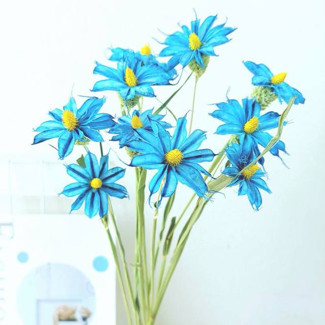 Nordic pastoral Hama chrysanthemum dried flowers home decoration oncidium shooting props ins internet celebrity small fresh handmade flowers