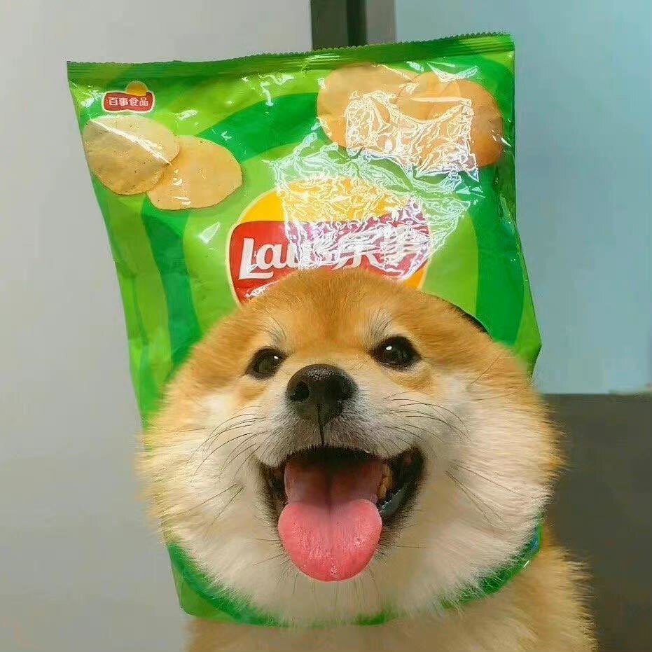 一口五个蛋挞
